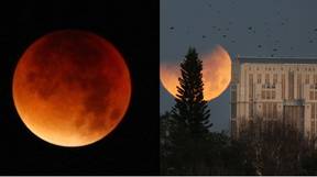 壮观的血红色月亮将在下个月来临，“预示着世界末日”