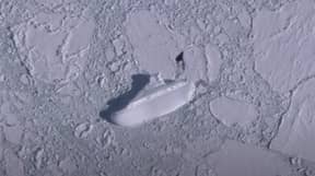 Google Earth用户在南极洲发现了400英尺的“冰船”