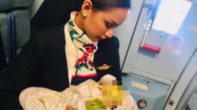 母乳喂养乘务员在菲律宾航空公司飞行步骤进给乘客饥饿的宝宝