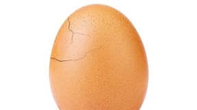 拥有鸡蛋的世界纪录已经开始破裂，每个人的卵