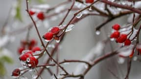 英国可能面临雪地的风险