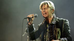 大卫·鲍伊（David Bowie）被任命为20世纪最伟大的艺人