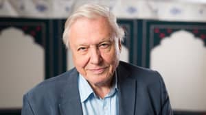 戴维·阿滕伯勒爵士（David Attenborough）公开了他的健康问题