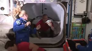 尤达宝宝与太空探索技术公司的工作人员一起抵达国际空间站