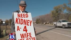 试图为妻子找到肾脏的家伙找到了一个捐助者