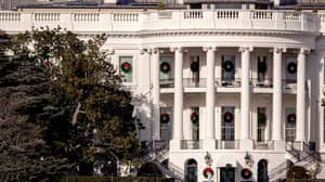 白宫下令砍伐近200年的名树