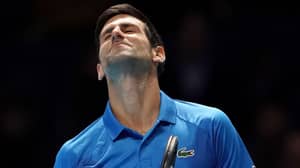 #australiahasfallen在Novak Djokovic被驱逐出境后开始在网上趋势