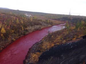 河流正在运行血液的颜色，也许是发言即将来临