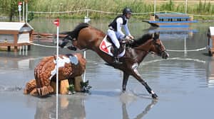 马在越野遭受伤病后在东京奥运会上安乐死