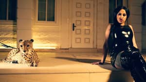 在音乐视频中，卡迪B差点被猎豹袭击