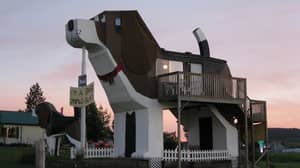Airbnb上有一只巨大的狗的形状的房子