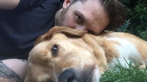 汤姆·哈迪去世后向他的狗表达了情感上的敬意
