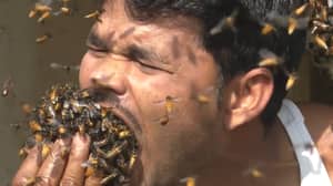 印度蜂蜜收藏家无缘无故地在他的嘴里塞满了