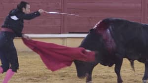 西班牙的第一个斗牛是因为锁定提示新呼吁禁止