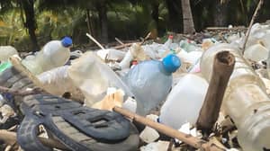 欢迎来到塑料海滩：墨西哥的令人震惊的镜头显示塑料废物问题