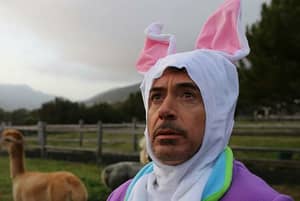 Robert Downey Jr的荒谬的照片。在一件兔子套装上火花史诗般的Photoshop Battle