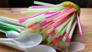 南澳大利亚将明年逐步淘汰单一使用塑料餐具和吸管
