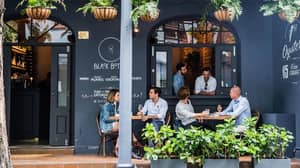 悉尼酒吧被禁止玩果仁，因为这是令人讨厌的邻居