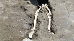 人的骨骼可能从庞贝发现的熔岩中挤压奔跑