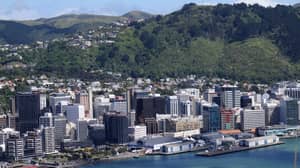 新西兰雇主为应聘者提供免费机票和住宿