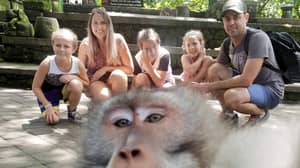 Cheeky猴子Photobombs家庭假期炒作，给他们中指