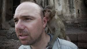 卡尔·皮尔金顿（Karl Pilkington）预测了十年前黑镜子的一个绘图