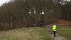 两名成年人因怀疑在森林中发现的女婴谋杀而被捕
