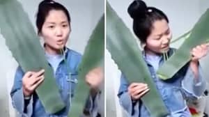中国vlogger意外地在livestream上撒了自己