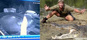 夫妇在游泳池中被鳄鱼袭击，但史蒂夫·欧文（Steve Irwin）会做什么？
