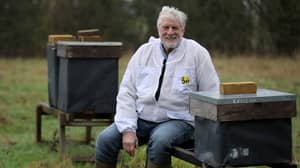 一名养蜂人告诉英国脱欧将杀死1500万只蜜蜂