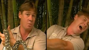 惊人的史蒂夫·欧文（Steve Irwin）称蛇攻击者为“枪支儿子”