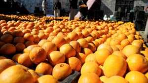 乘客在吃30公斤橙子后维持口腔溃疡以避免行李费
