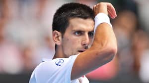 民权团体解释了为什么诺瓦克·德约科维奇（Novak Djokovic）的驱逐出境有关