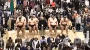 日本女子在拯救男子性命时被勒令离开相扑圈