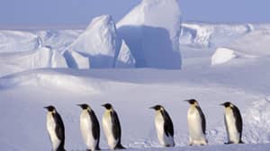 一万亿吨冰山破灭南极冰架，促使全球变暖的恐惧