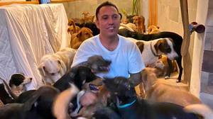 男子在墨西哥飓风中庇护了300只狗