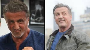 狡猾的史泰龙（Sly Stallone）在72岁时回到健身房 - 看起来不错