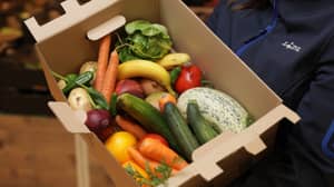 Lidl将开始以1.5英镑的价格出售5公斤受损的水果和蔬菜