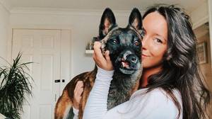 Instagram粉丝筹集了4,500英镑后，鼻子受损的狗固定为改变生活的手术