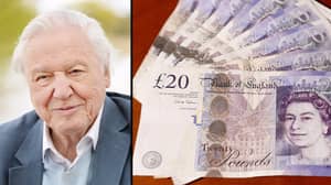 英国人希望大卫·阿滕伯勒爵士成为新版20英镑纸币的头像