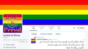 奥兰多夜总会枪击案后，黑客在ISIS推特账户上发布同性恋色情内容
