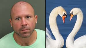 前MMA战斗机因在佛罗里达州的头踢天鹅而被捕，正在“练习空手道”