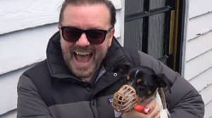 Ricky Gervais在伦敦参加万圣节狗活动