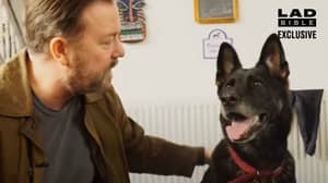瑞奇·格瓦伊斯（Ricky Gervais）说，生命之后是“太好了”，不做第三个系列