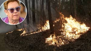 艾尔顿·约翰承诺向澳大利亚森林火灾危机提供100万美元援助