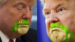 唐纳德·特朗普（Donald Trump）用嘴里绘画的青蛙很棒