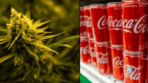 可口可乐首次准备制作加入大麻的饮料