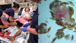 澳大利亚青少年的脚不会在被海上虫子“吃饭”之后停止出血