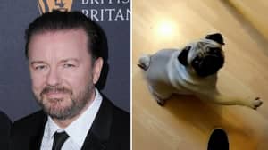 Ricky Gervais在人类因教狗“纳粹致敬”的罪名后离开了