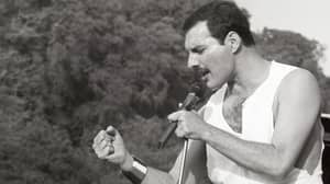 弗雷迪·水星（Freddie Mercury）在他生命的最后几个月中对朋友的令人心碎的话揭示了